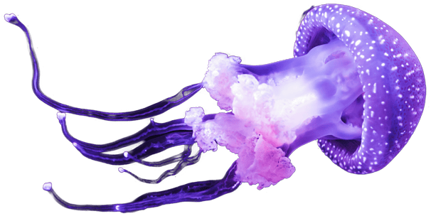 A glowing purple and pink jellyfish with a spotted bell and trailing tentacles, floating against a dark underwater background.