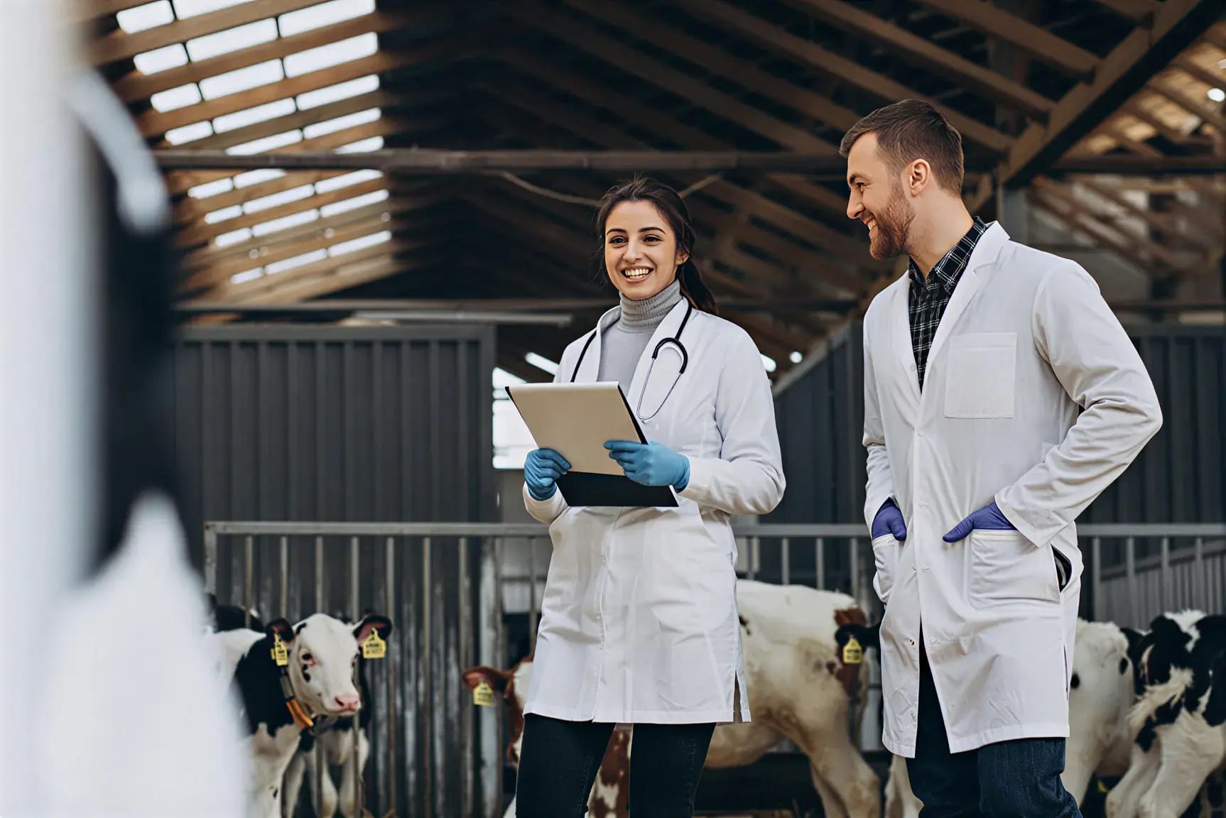 Standardising Data Entry Across Animal Record Keeping Systems